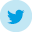 twitter-icon