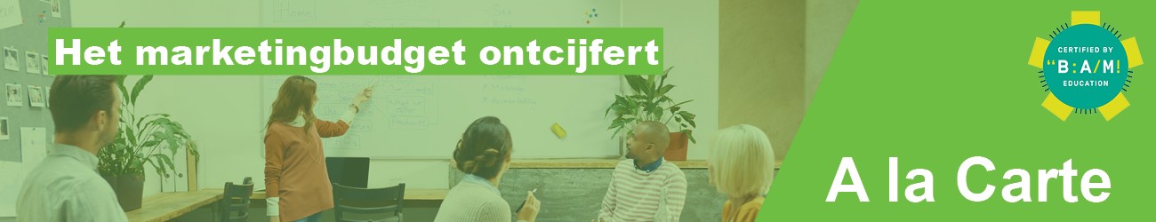 het marketingbudget ontcijfert_1300-250