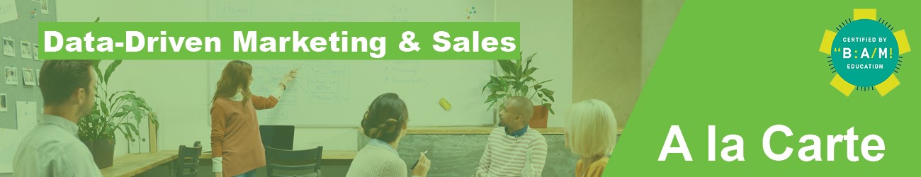 data-driven marketing &amp; sales_1300-250