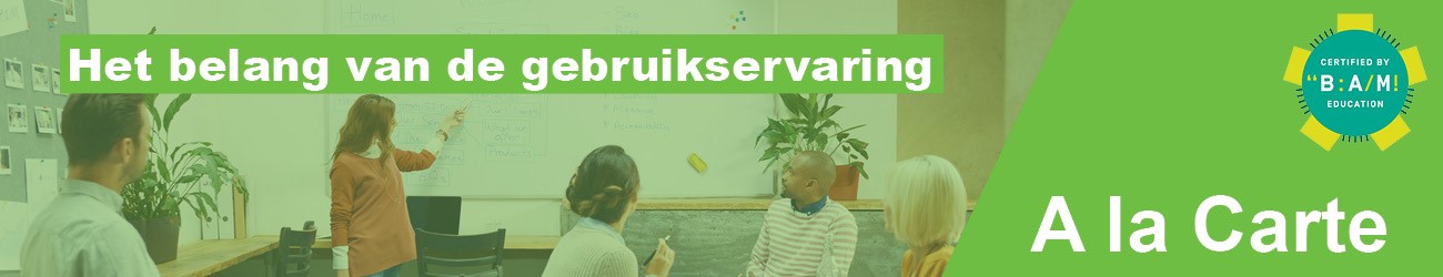het belang van de gebruikservaring