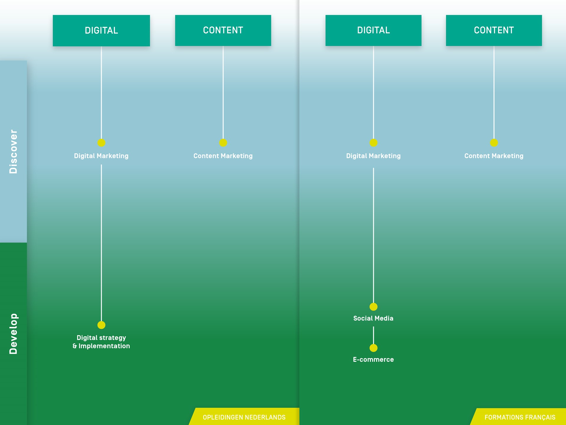 BAM_infographic_opl
