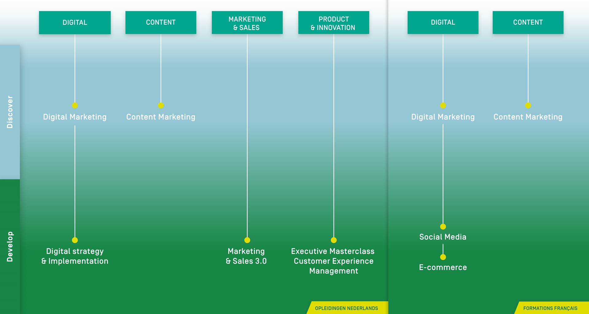 BAM_infographic_opl_2