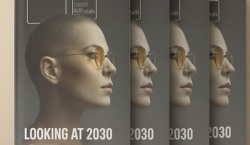 Looking at 2030_250-145.png