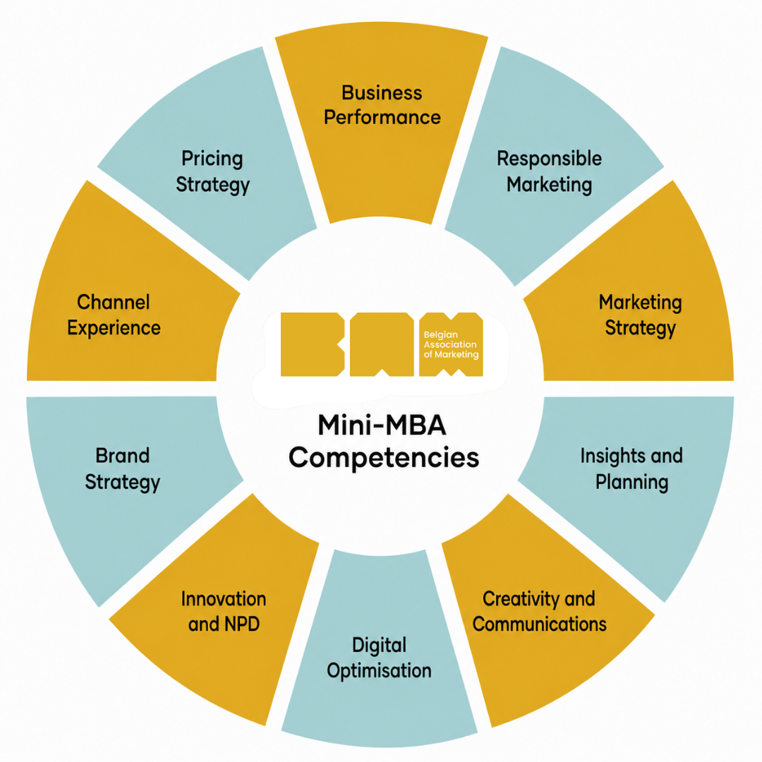 Mini-MBA_Competencies.png